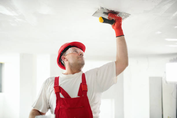 Best Drywall Repair  in USA